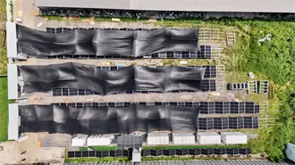 Industrial Peak and Valley Energy Storage - MyPaarl Utility Energy Storage Infrastructure