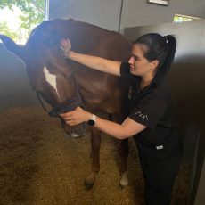 Karien du Toit Lutz Veterinary Physio