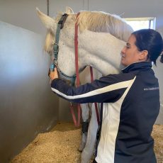 Karien du Toit Lutz Veterinary Physio