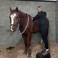 Karien du Toit Lutz Veterinary Physio