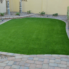 Artificial Lawn