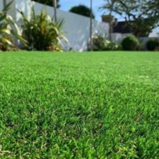 Artificial Grass