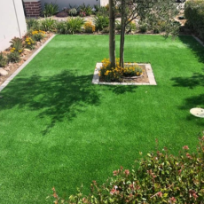 Artificial Lawn