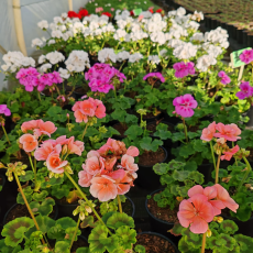 Body Fuel Express Paarl