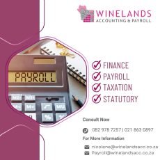 Winelands Accounting