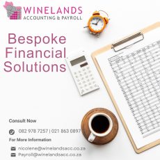 Winelands Accounting